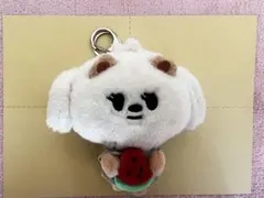 TXT プルバトゥ キーリング バムグッ ボムギュ スイカ おまけ付き♡