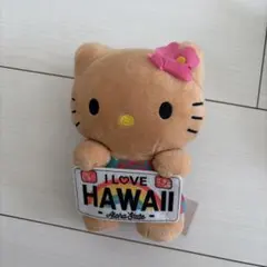 ハワイ 日焼けキティ キティ ハローキティー 限定 ぬいぐるみ 新品