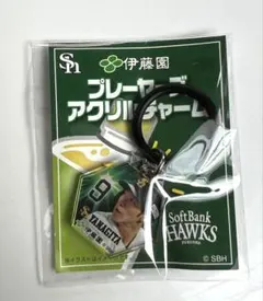 福岡ソフトバンクホークス 柳田悠岐 プレーヤーズアクリルチャームセブン