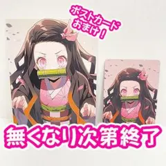 鬼滅の刃 竈門禰豆子 トレカ ポストカード 2枚セット ⑧B