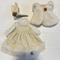 ネオブライスアウトフィット中古33