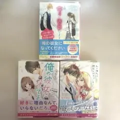 恋愛小説 まとめ売り