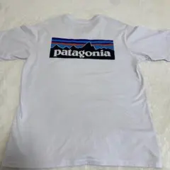 patagonia ホワイト Tシャツ S