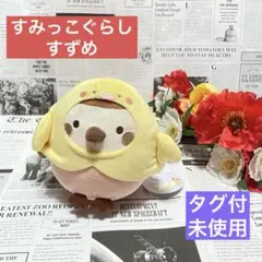 未使用 amifazoo すみっこぐらし ひよこ 着ぐるみ ぬいぐるみ レアのサムネイル