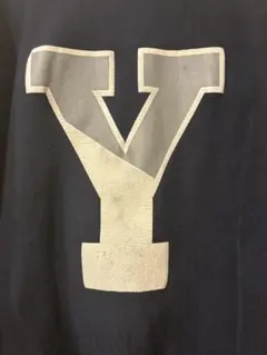 Champion リバースウィーブ 90s YALE ガレッジ バックプリント