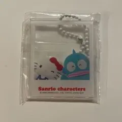 サンリオキャラクターズ はいっ！ポーズ！キーホルダー　ハローキティ&ハンギョドン