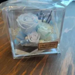 Item thumbnail for item d596d8ed-6942-43d7-bbf1-4048e1eebd2e