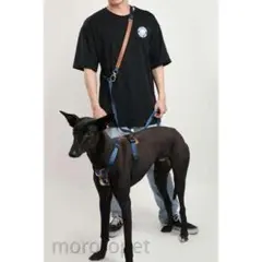 犬用　ハーネス&リードセット 　高品質
