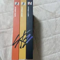 IN生 アルバム　straykids 3種