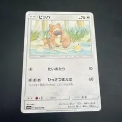 ビッパのサムネイル