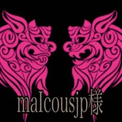 Norton フード付きパーカー 　暖厚　メンズS