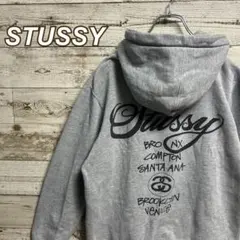 236【人気即完売品】ステューシー♧ビッグロゴ　ワールドツアー　メンズパーカー