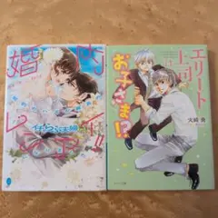 〈TL小説〉「婚内レンアイ!!」「エリート上司はお子さま!?」2冊セット