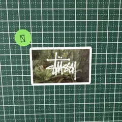 Stussy ステッカー 植物デザインのサムネイル