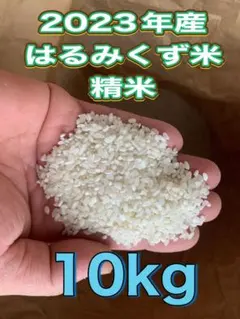 Item thumbnail for item 221748fd-81f4-404a-b601-d90be820d7ab