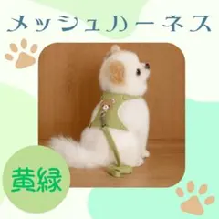 メッシュハーネス 緑 リード付き 小型犬 猫 小動物 S かわいい