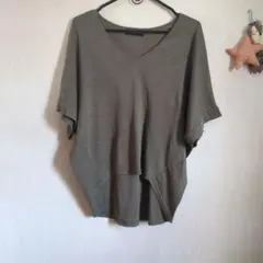 御専用ですのサムネイル