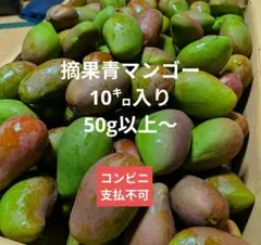 摘果マンゴー9キロ - メルカリ