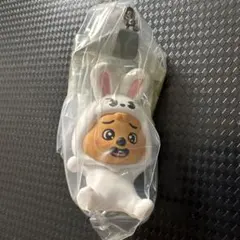 スキズ　SKZOO つまんでつなげてますこっと2 ハンクォッカ