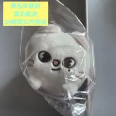 スキズ　ヒョンジン　ジニレット　SKZOO ミニバッグチーム