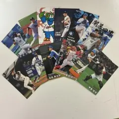 プロ野球チップス 12枚セット