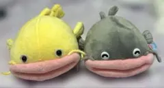 6月限定値下　なまずのずっちー　ずっちー　こがねっちょ　2個セット売り　22cmのサムネイル