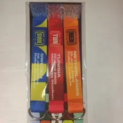 w杯グループリーグマフラーキーホルダー3本セット