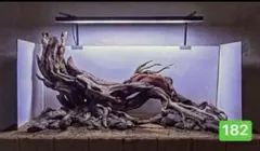 水槽用流木レイアウト　魚の水槽、 水草用の流木。流木アクアリウム　盆栽流木