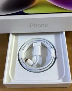 純正品 Apple 正規品 iphone ライトニングケーブル