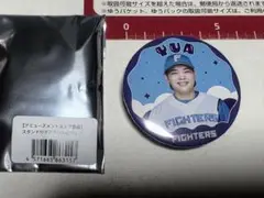 未使用　日本ハム　ファイターズ　田宮　64 缶バッチ
