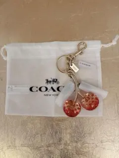 2026年最新】coach チャーム さくらんぼの人気アイテム - メルカリ
