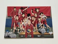 ハイキュー　入場者プレゼント　第2弾　特典　音駒高校最後の集合写真