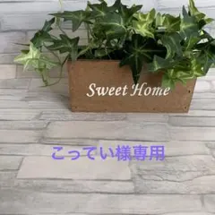 ★こってい様専用です☆