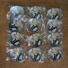 家庭教師ヒットマンREBORN JF アクバ ベルフェゴール 11個セット