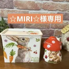 デコパージュ　ハンドメイド　ふりかけ収納ケース　つまようじケース