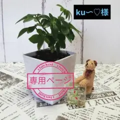 Item thumbnail for item e60cfe40-4dea-46c5-a149-00eb55b304f6