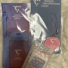 SEVENTEEN CARAT 更新特典 カードホルダー ラバーチャーム　バッジ