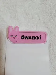 Stray kids skzoo ランダムネームバッチ チャンビン