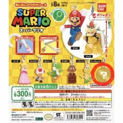 【未開封】スーパーマリオ めじるしアクセサリー　2点セット