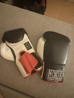 SUPERARE SUPERGEL PRO BOXING GLOVES 10oz - メルカリ