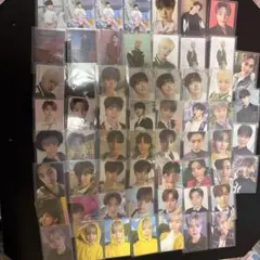 ディノ トレカまとめ売り