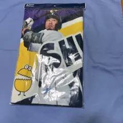 Item thumbnail for item f22dd1a4-de8c-4266-b625-313e1692919c