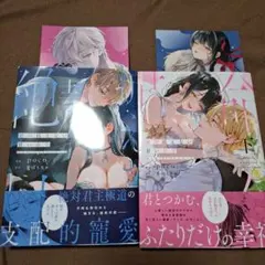 絶対抗えない甘い命令 上下