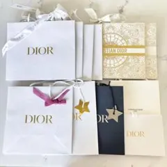 DIOR ショッパー11枚 CHANEL ショッパー2枚