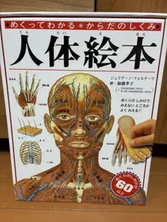 人体絵本 : めくってわかるからだのしくみ - メルカリ