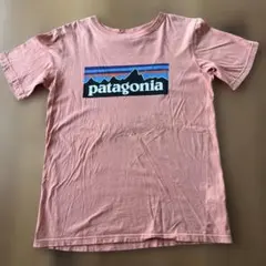 patagonia Tシャツ XL14