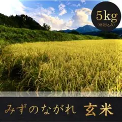 【みずのながれ】玄米 5kg コシヒカリ お米 米 令和7年産 沼田のこしひかりのサムネイル