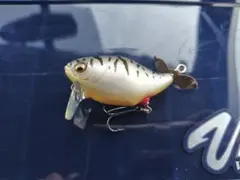 Item thumbnail for item cee5b51f-40c9-42ee-9eeb-f63233361c73