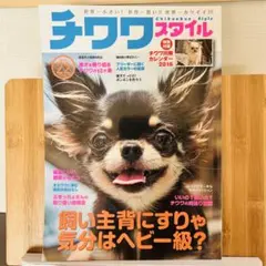 Item thumbnail for item 47a8b008-c929-4fec-9c31-3350fe7a7afc