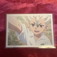 Dr.STONE Amocafe 石神千空 ビジュアルカード アモカフェ 59枚 71DiK7sPlkL._UF350,350_QL50_.jpg